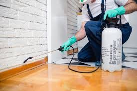 Best Fumigation Services  in Reston, VA